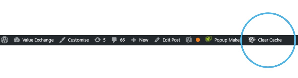 Clear Cache on a WordPress website